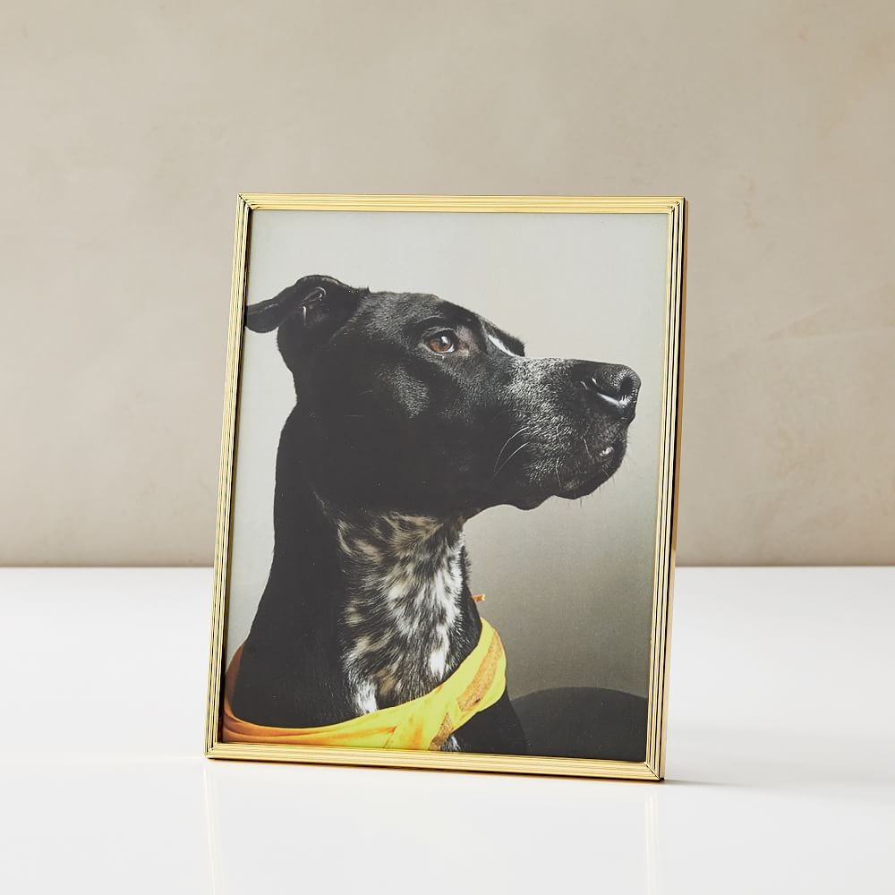 Stepped Metal Frames - Gold | West Elm (US)