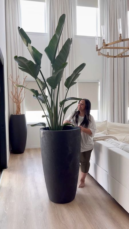 Oversized planter with real birds of paradise plant and how I keep it!

Home
DIY home
Luxe for less 