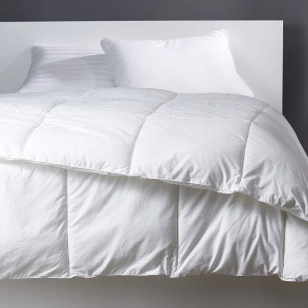 All Season Down Alternative Comforter | Wayfair North America