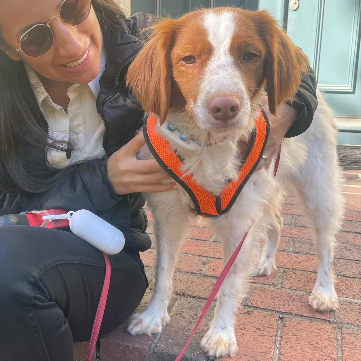 New bright orange Halloween harness! Gooby brand available on Amazon. Minnie wears XL 

#LTKFamily #LTKFindsUnder50 #LTKHalloween