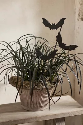 Mini Bat Trio Iron Stake | Anthropologie (US)