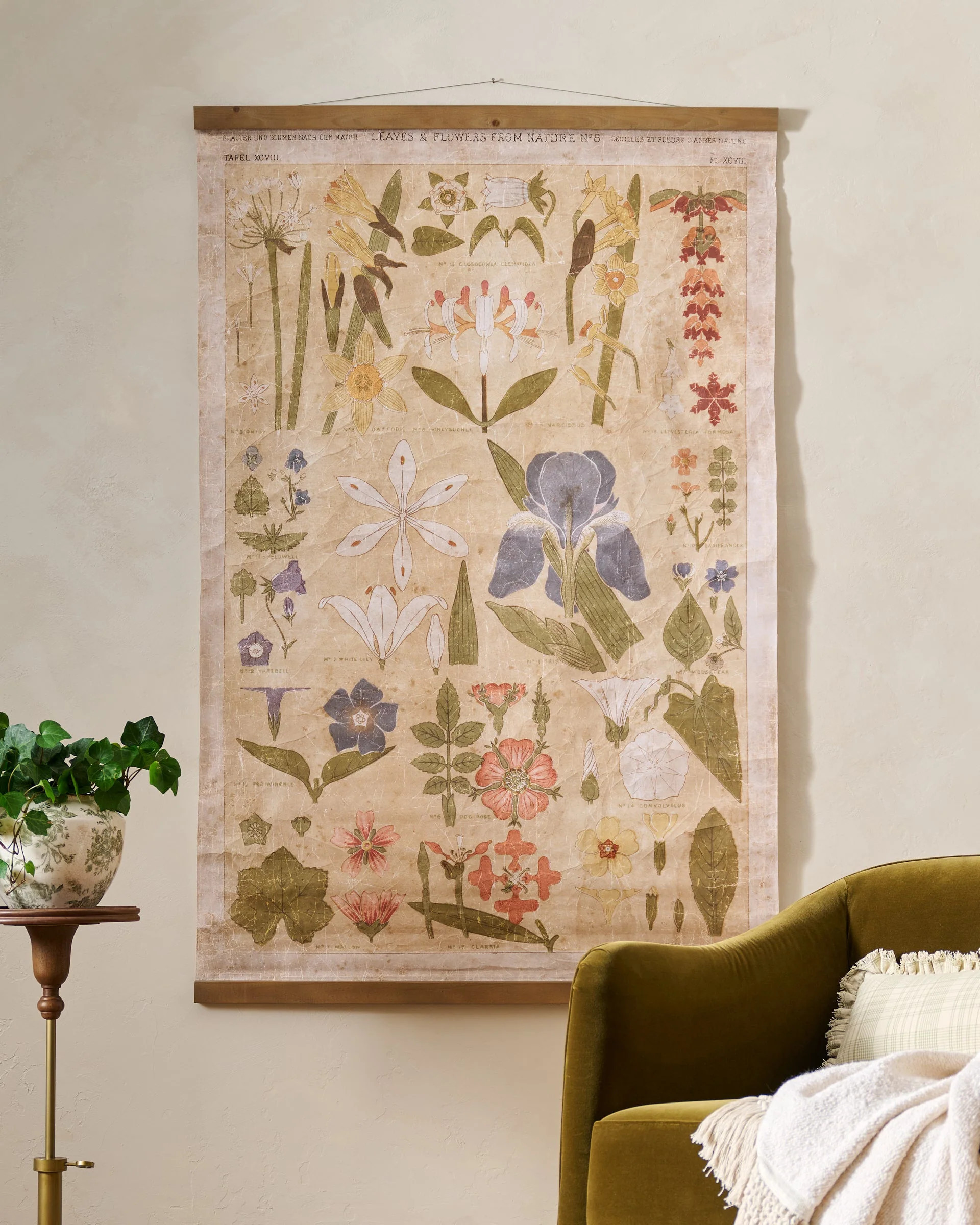 Antique Botanical Study II Tapestry | Magnolia