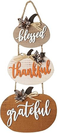 HOMirable Blessed Thankful Grateful Sign Farmhouse Thanksgiving Wall Décor Rustic Wooden Sign Vi... | Amazon (US)