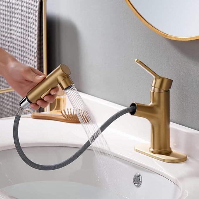 Bathroom Sink Faucet Single Hole Bathroom Faucet with Pull Out Sprayer Modern Vanity Faucet, Bar ... | Amazon (US)