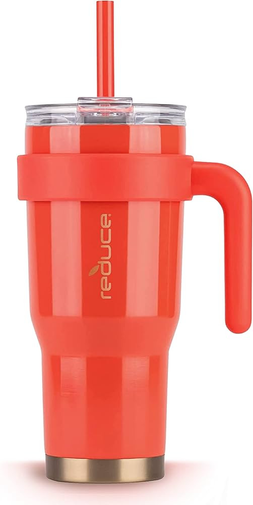 Reduce 24 oz Tumbler with Handle and Straw - Stainless Steel with Sip-It-Your-Way Lid - Keeps Dri... | Amazon (US)