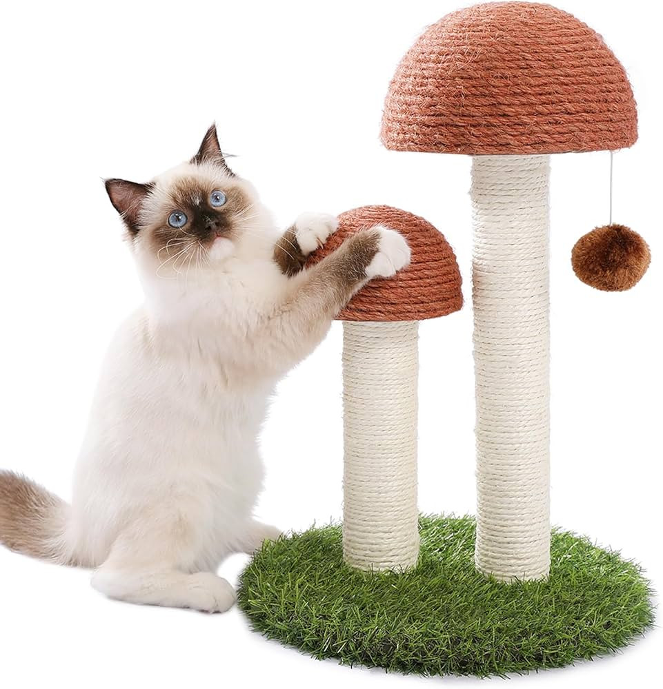 PETEPELA Cat Scratching Post, Mushroom Tall Cat Scratcher Featuring with Natural Sisal Scratching... | Amazon (US)