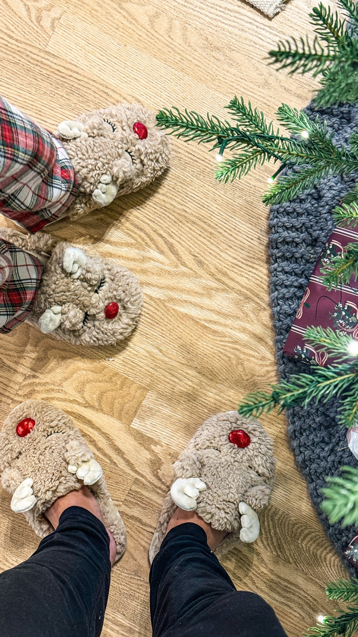 The cutest slippers

#LTKootd #LTKGiftGuide #LTKHoliday