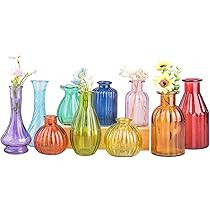 Eleganttime Bud Vases for Flowers,Glass Colored Bud Vase in Bulk Set of 10,Small Vintage Vase Bottle for Wedding Decorations,Garden and Home Decor,Centerpieces,Colorful Mexican Décor | Amazon (US)