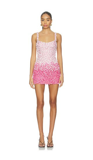 LA FUORI Pink Petal Ombre Embroidered Dress in Pink. - size L | Revolve Clothing (Global)