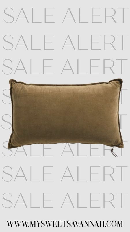 Velvet and linen lumbar pillow in the most beautiful color! 

#LTKfindsunder50 #LTKhome #LTKsalealert