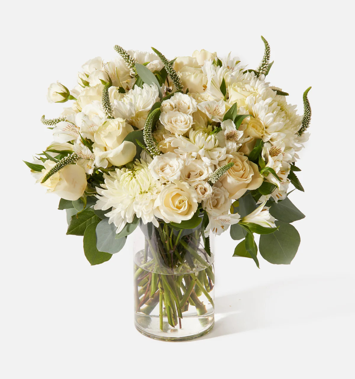 Double the Dove | UrbanStems