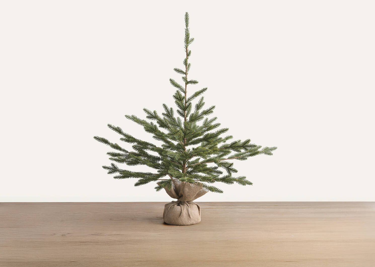 Fernie Tree Potted Small | Urban Barn