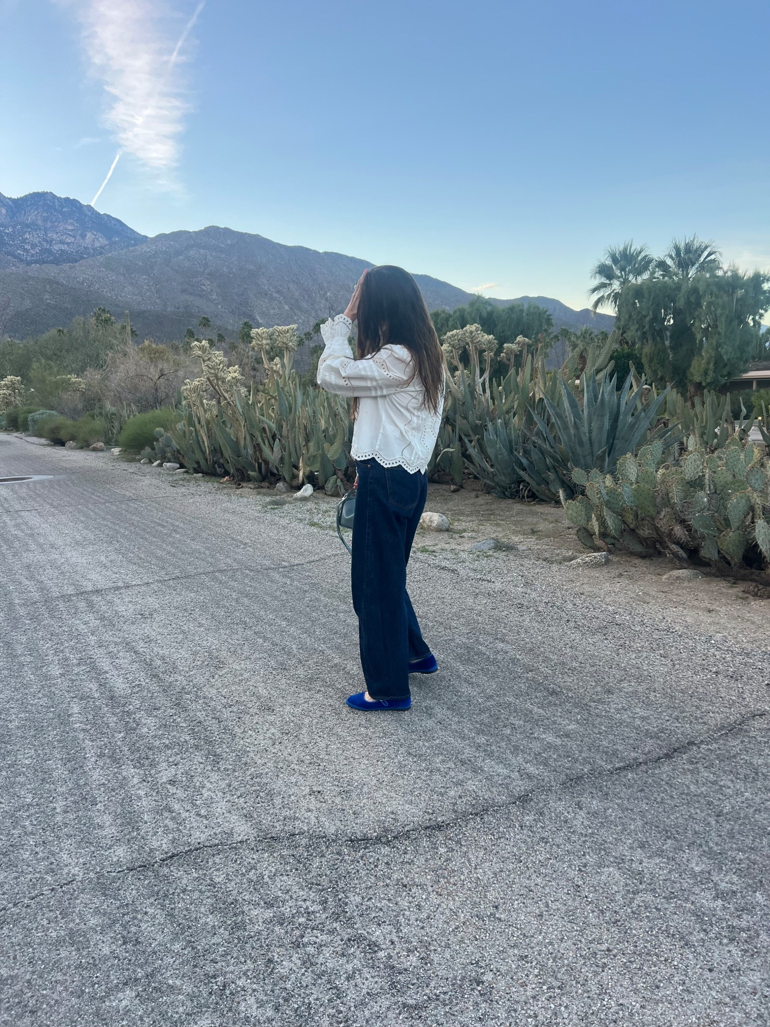 Quiet luxury, French girl aesthetic, Sezane, white lace top, simple white top, work top, going out top, over 40 going out top, perfect barrel jeans, bright blue flats, velvet Mary jeans, gap jeans, Flabelus, the horse, cool girl bag 

#LTKWorkwear #LTKNYFW #LTKValentine