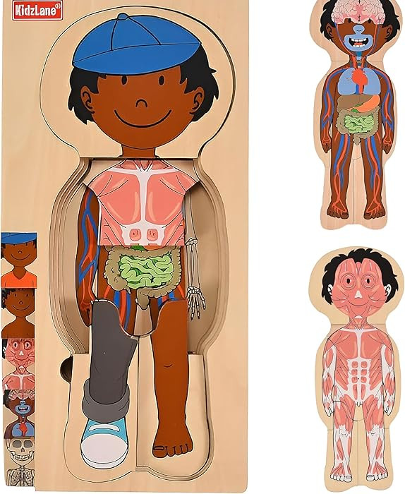 Kidzlane African American Boy Wooden My Body Puzzle for Toddlers and Kids - 29 Piece Girls Anatom... | Amazon (US)