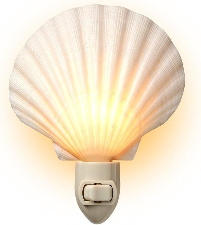 Real Sea Shell Beach Night Light Real, Natural, Perfect for Beach Home Decor | Amazon (US)