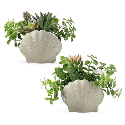 Lewondr Fake Plants Set of 2, Assorted Faux Succulents Artificial Plants with Sea Shell Pots, Artificial Greenery in Coastal Beach Decor, Ocean Seashell Series for Home Bedroom Beach Theme Party | Amazon (US)