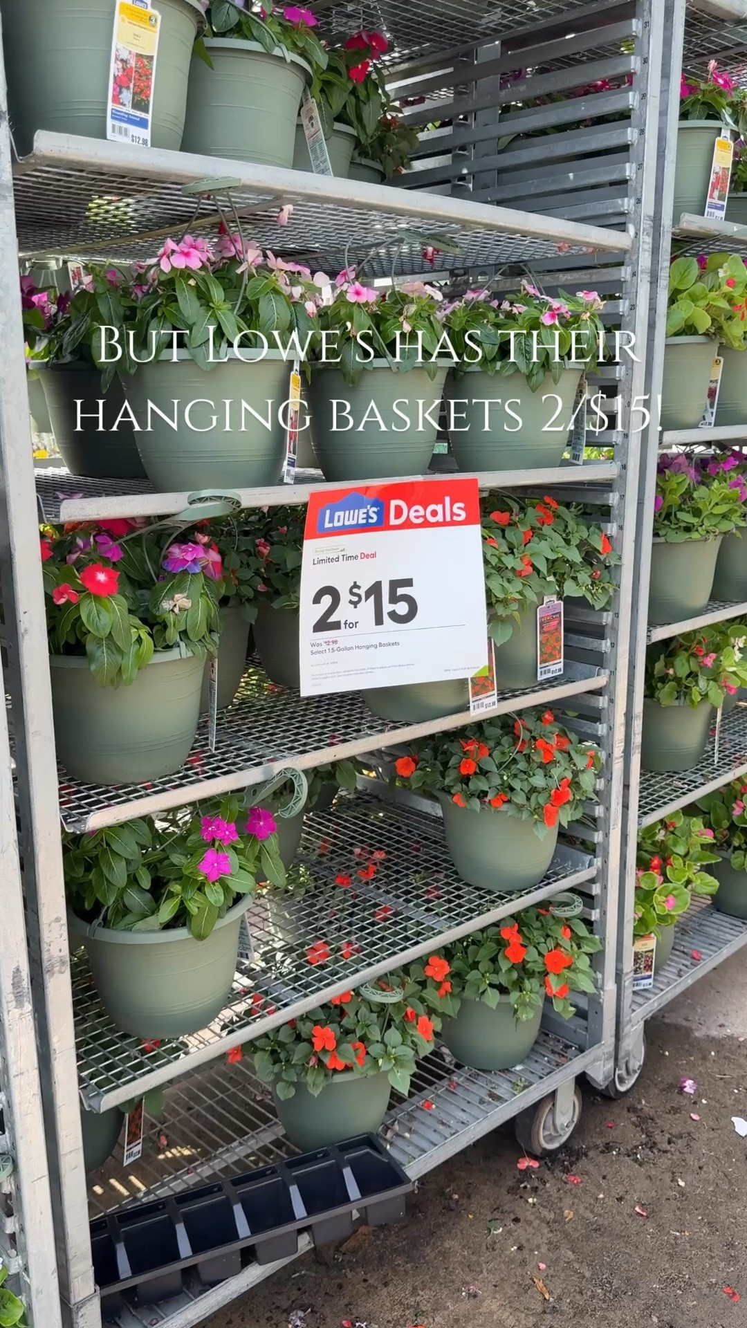 Run grab some for Mother’s Day! 🌸🌼