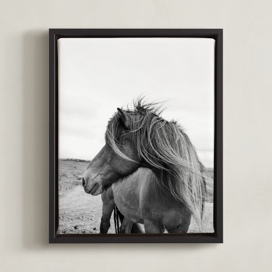 A Horse and the Wind | Minted