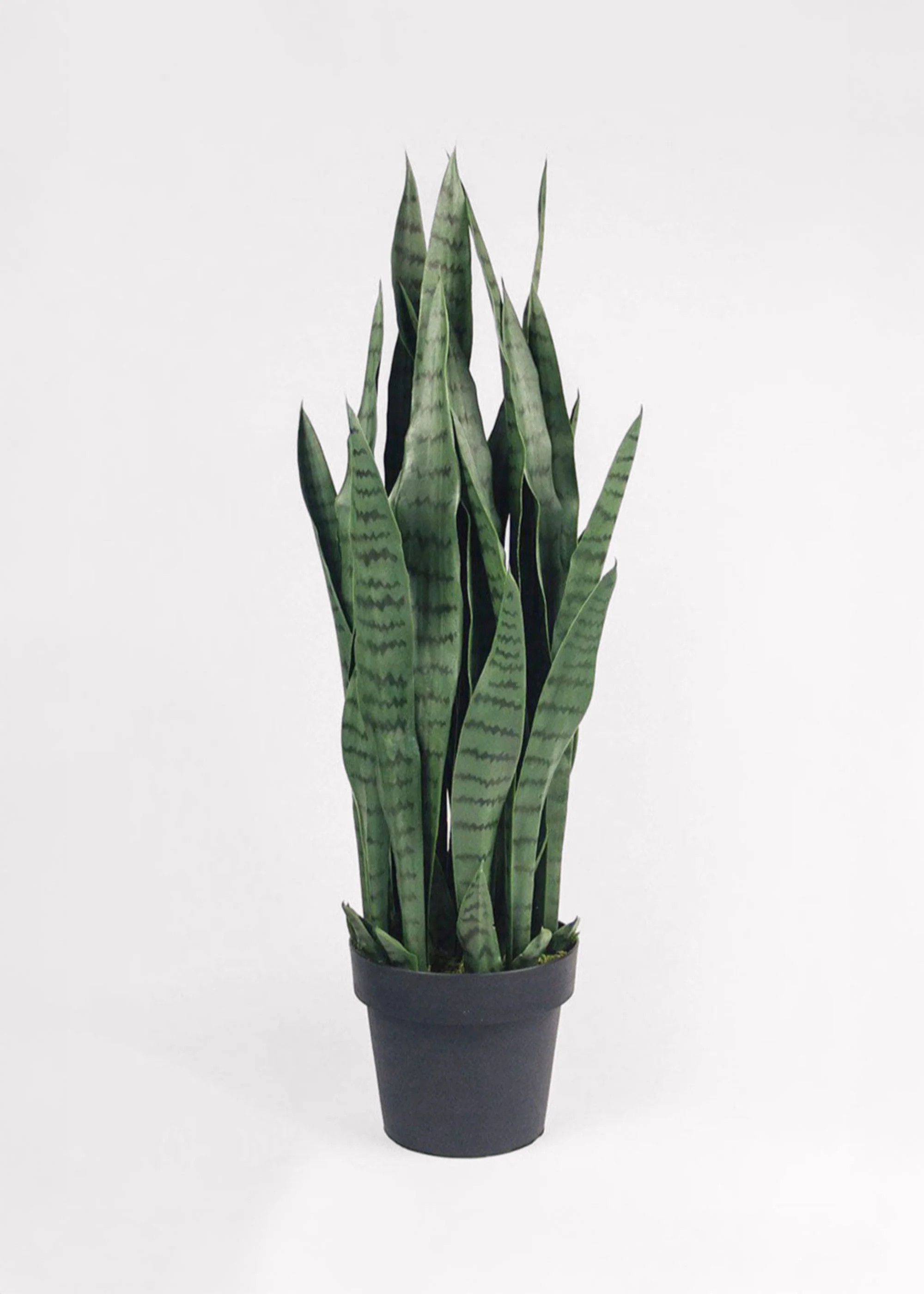 UV Treated Outdoor Fake Potted Sansevieria Snake Plant - 35 | Afloral