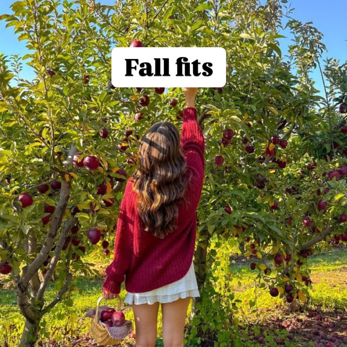 #LTKStyleTip #LTKFindsUnder100 #LTKSeasonal