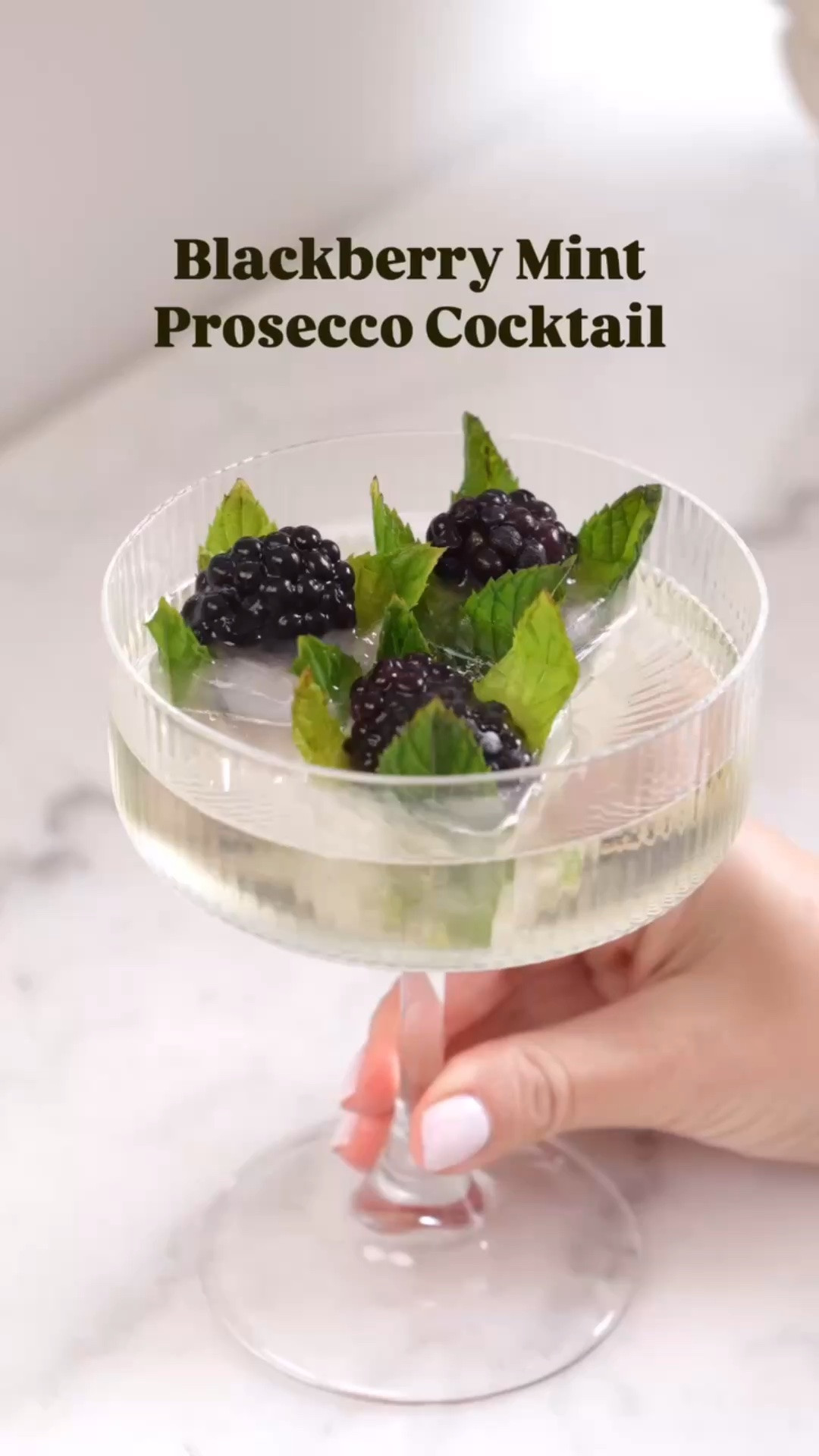 This Blackberry Mint Prosecco Cocktail is my new summer favorite! Muddled blackberries, mint, and lemonade make the base, then a splash of prosecco (or any sparkling wine) takes it over the top. So refreshing on a hot day.

cocktail recipe, summer sparkling drink, easy summer cocktail, blackberry lemonade cocktail, sparkling wine cocktail, warm weather drink, girls night cocktail

#LTKfoodie #LTKHome