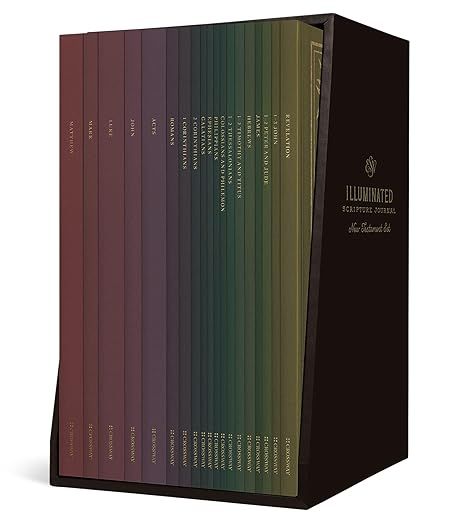 ESV Illuminated Scripture Journal: New Testament Set     Paperback – Illustrated, October 31, 2... | Amazon (US)