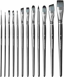 Transon Artist Paint Brush Set of 12 for Watercolor Acrylic Gouache Oil and Tempera Painting | Amazon (US)