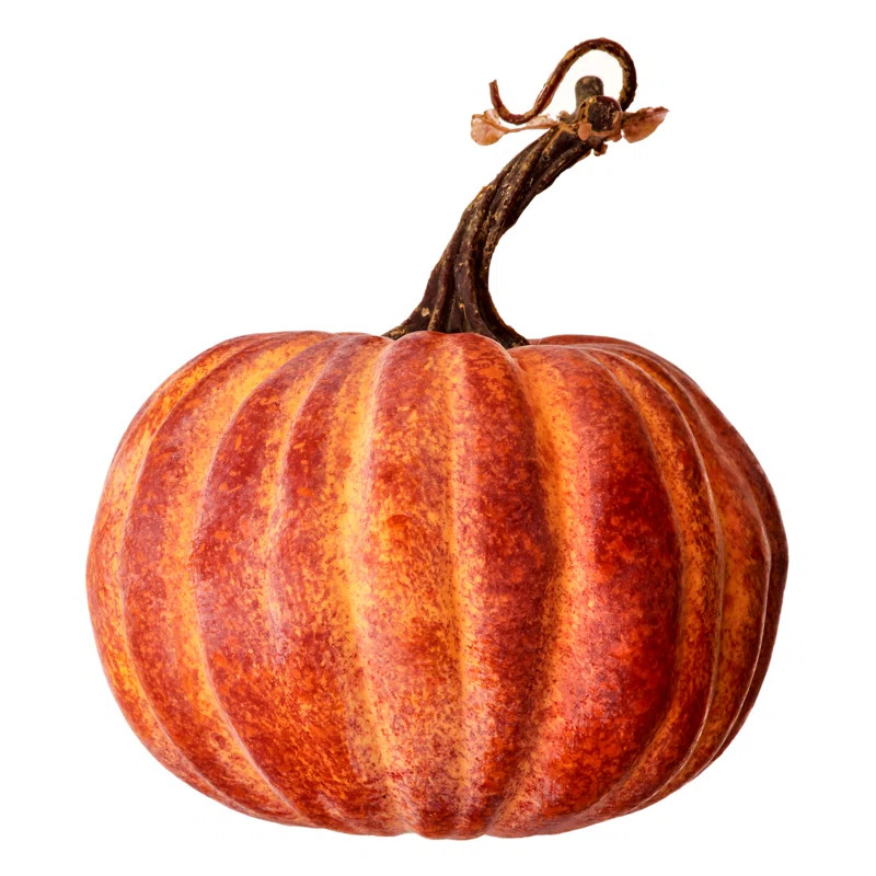 Latex Harvest Vine Pumpkin | Wayfair North America