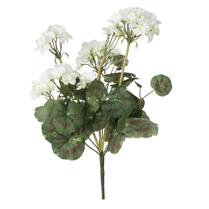 Geranium Bush (Set of 4) | Wayfair North America