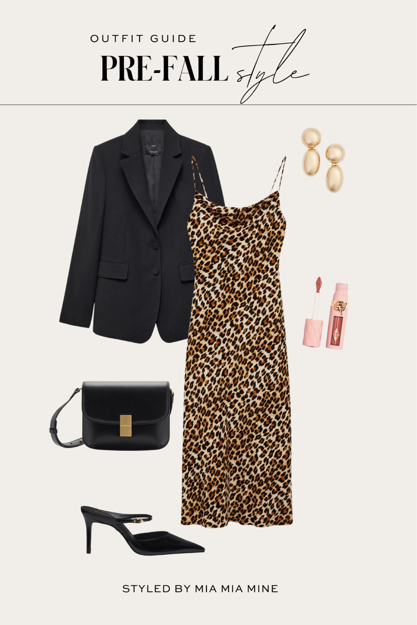Pre-fall outfit ideas
Mango blazer
Mango leopard dress
Mango crossbody bag
Schutz mules


#LTKWorkwear #LTKStyleTip #LTKFindsUnder100