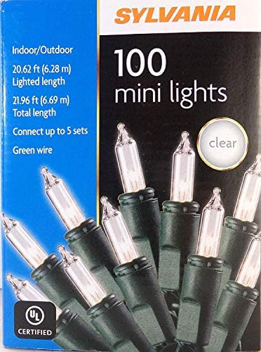 Osham Sylvania, Inc. Sylvania Indoor/Outdoor Clear Mini Lights - String of 100 | Amazon (US)