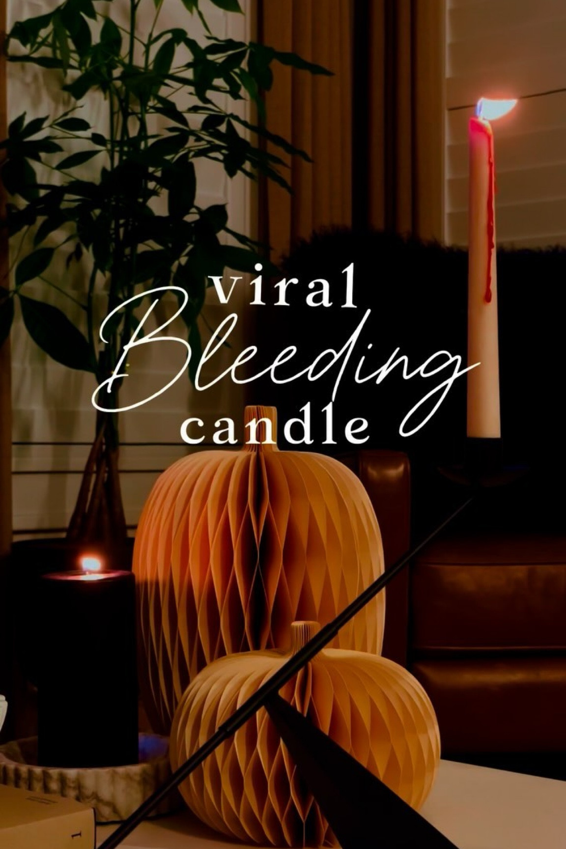 These 👏🏼 are 👏🏼 THE 👏🏼 candles for…
the Halloween season! 

Comment NEED THIS for the link to shop! You can also shop directly via my LTK store! 

#holloween #halloween #candleaddict #vintagehome #homesweethome #myhomestyle #homedecor #falldecor #findmehere #interiorwarrior

#LTKStyleTip #LTKHome #LTKHalloween