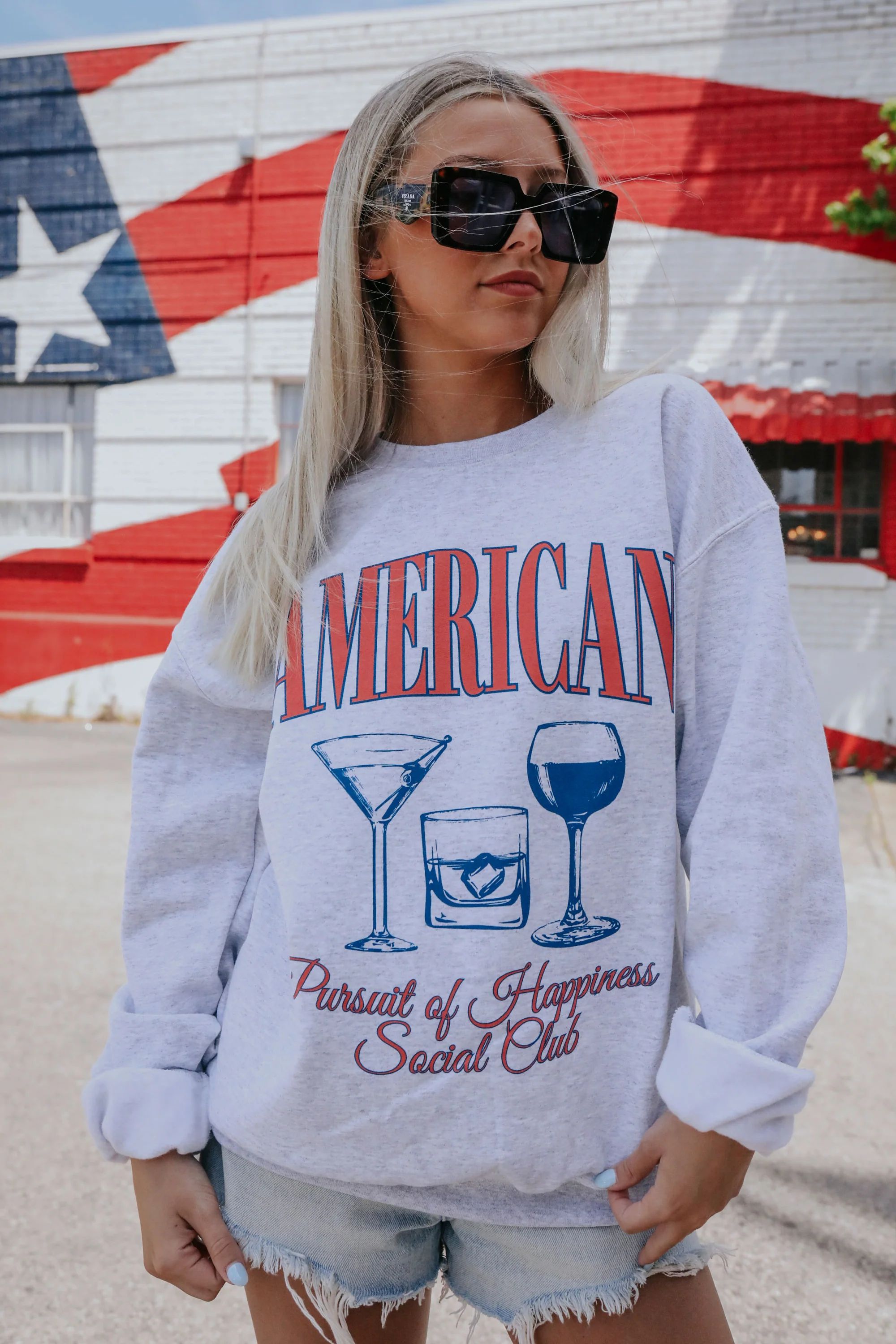 charlie southern: american pursuit of happiness sweatshirt | RIFFRAFF