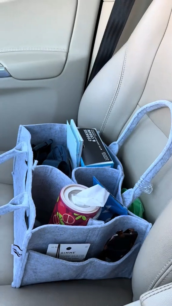 The best car organizer is actually an inexpensive diaper caddyy

#LTKFamily