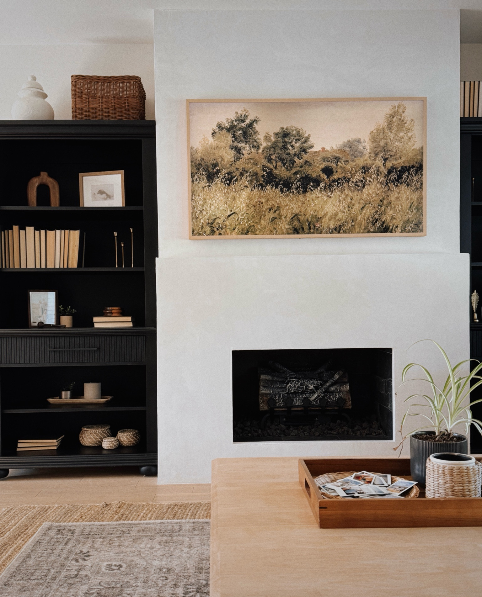 the best tv for ✨the vibe✨