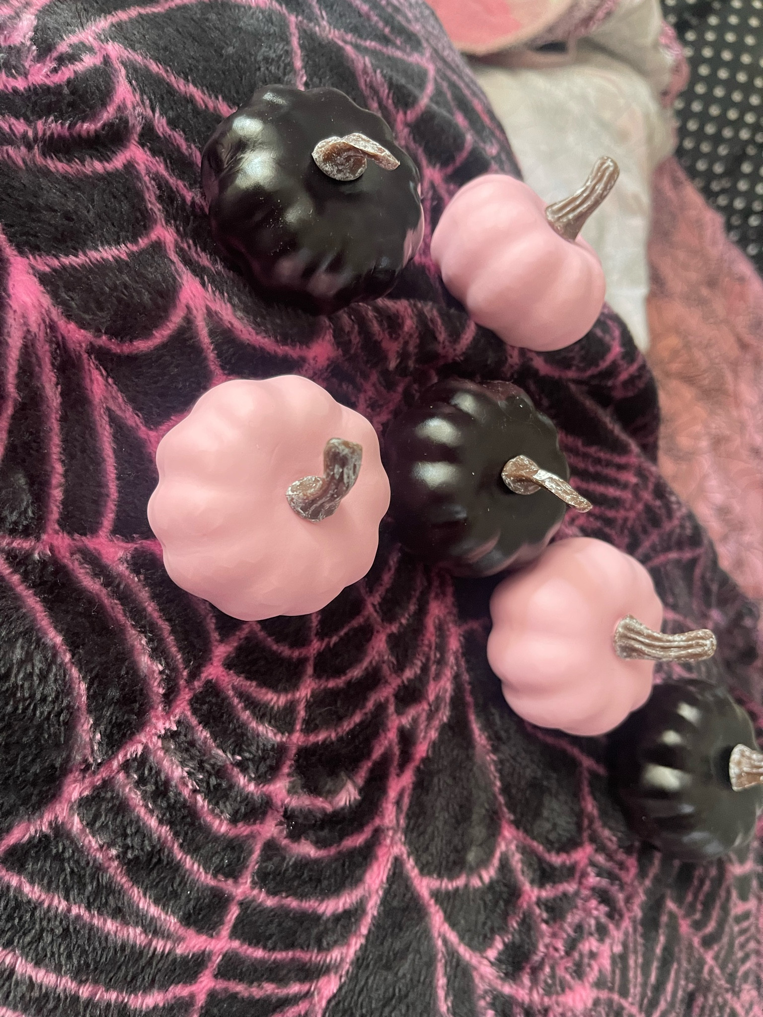 Cutest baby pumpkins!

#LTKparties #LTKSeasonal #LTKhome