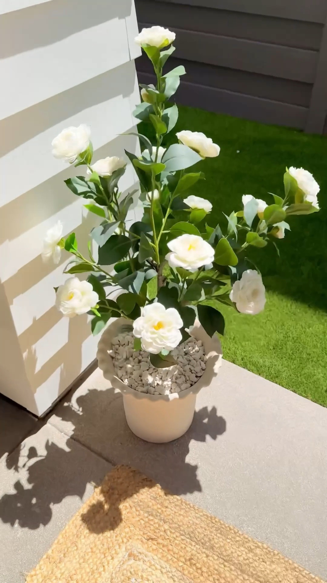 Love these smaller sized faux Camellia bushes from Amazon. 🍃 They come in a set of two. I’ve placed them in the large Palermo planter from Pottery Barn with a little rock underneath them to raise them up a bit the. Placed more rock on top. 

#LTKfoodie #LTKSaleAlert #LTKHome