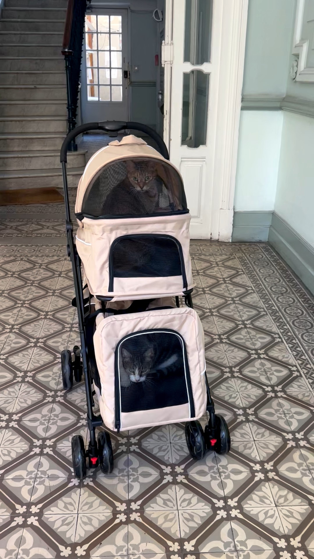New stroller alert! 

#LTKPets