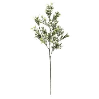 Dusty Miller Stem by Ashland® | Michaels Stores