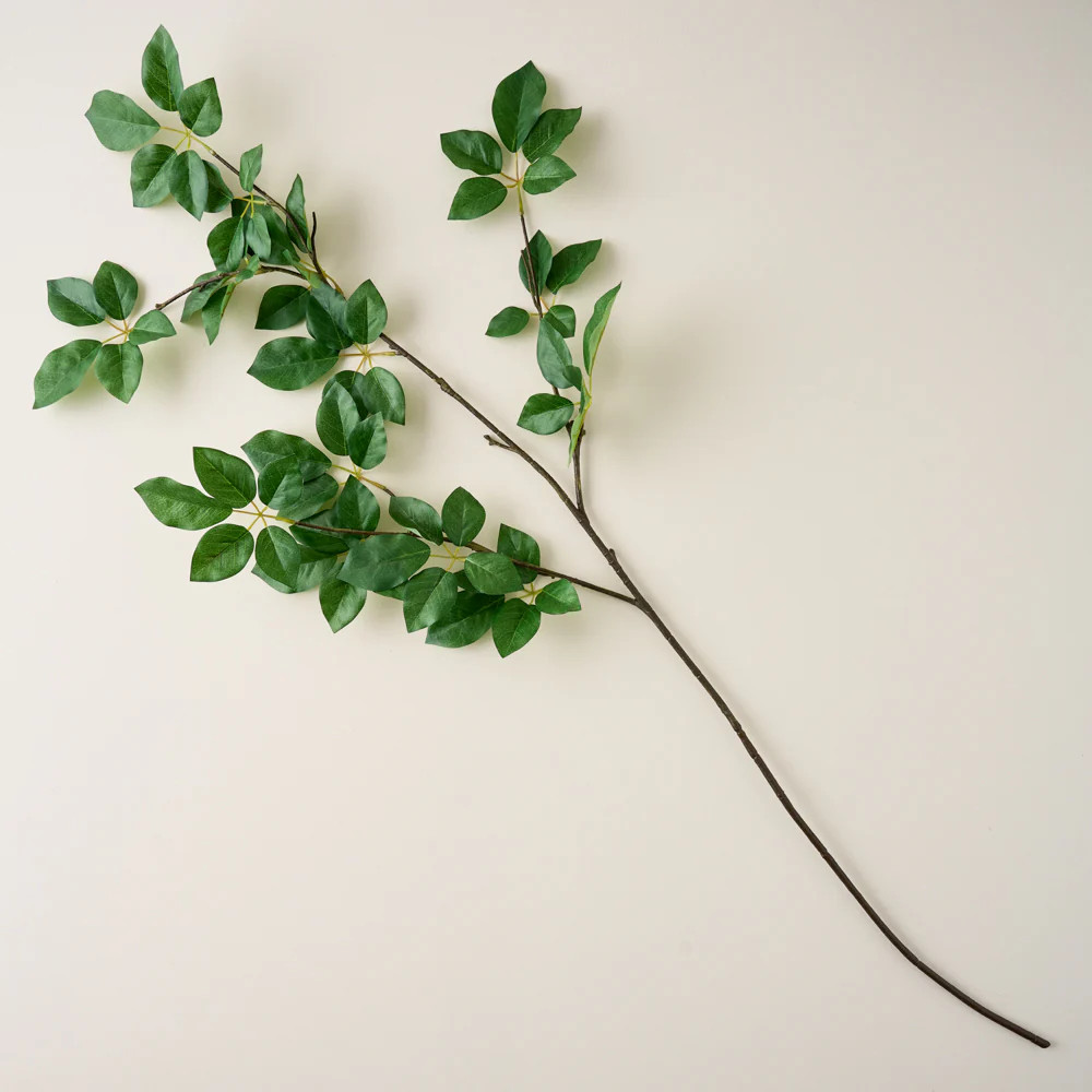 Oversized Schefflera Leaf Branch | Magnolia