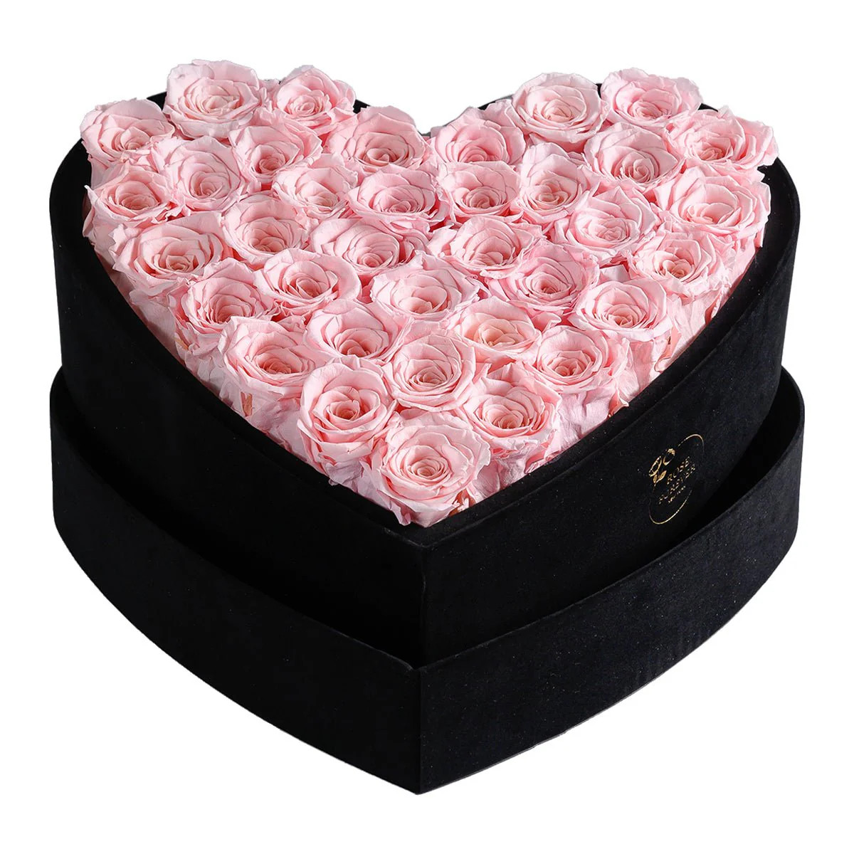 36 Light Pink Roses - Heart Velvet Box | Rose Forever 