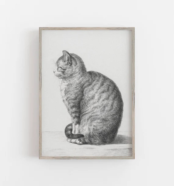 Cat Print  Vintage Etching  Black and White Art  Cat Sketch - Etsy | Etsy (US)