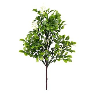 11" Boxwood Pick by Ashland® in Green | Michaels® | Michaels Stores