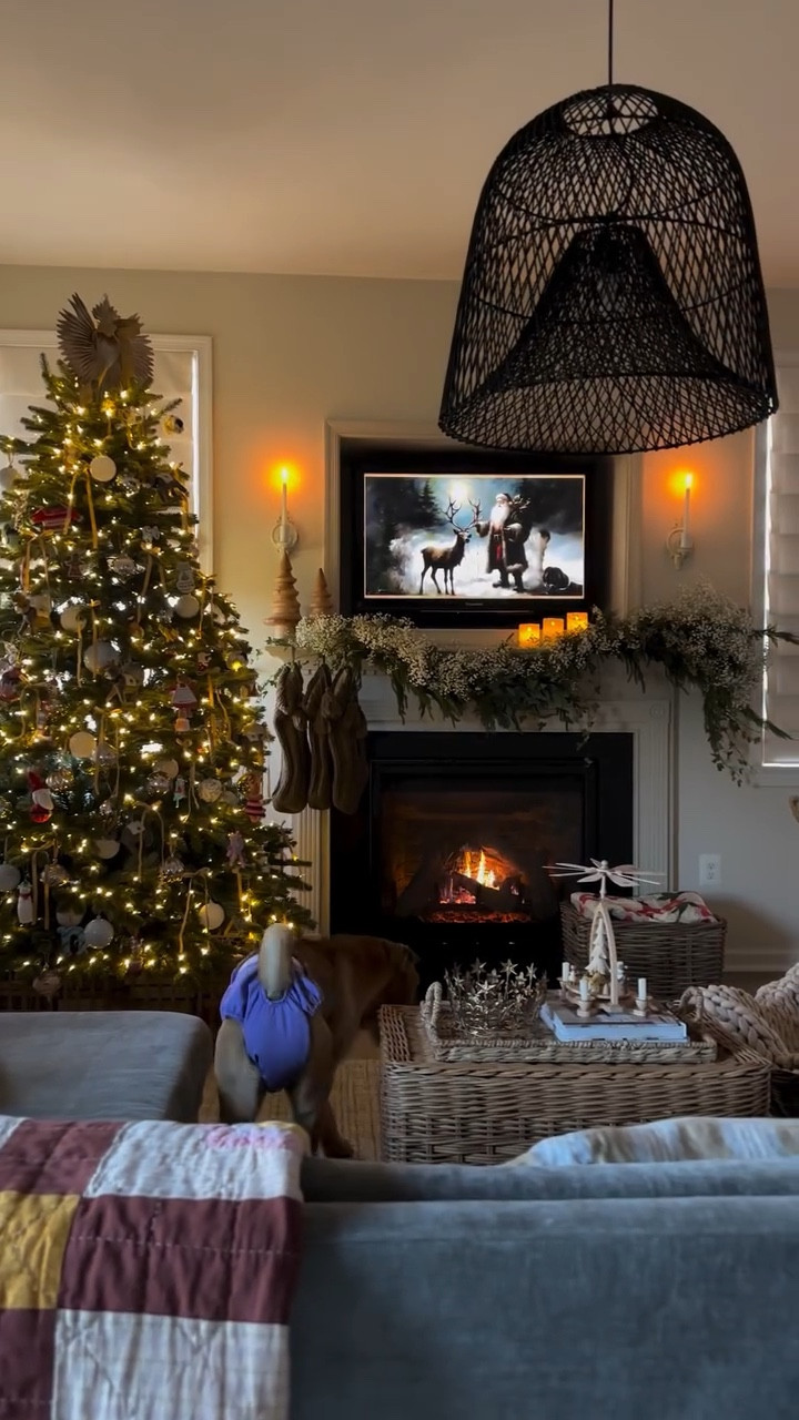 Garland

#LTKSeasonal #LTKHome #LTKHoliday