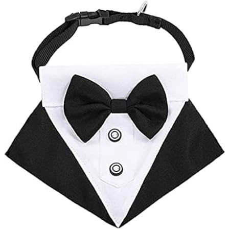 Dog collar tux | Amazon (US)