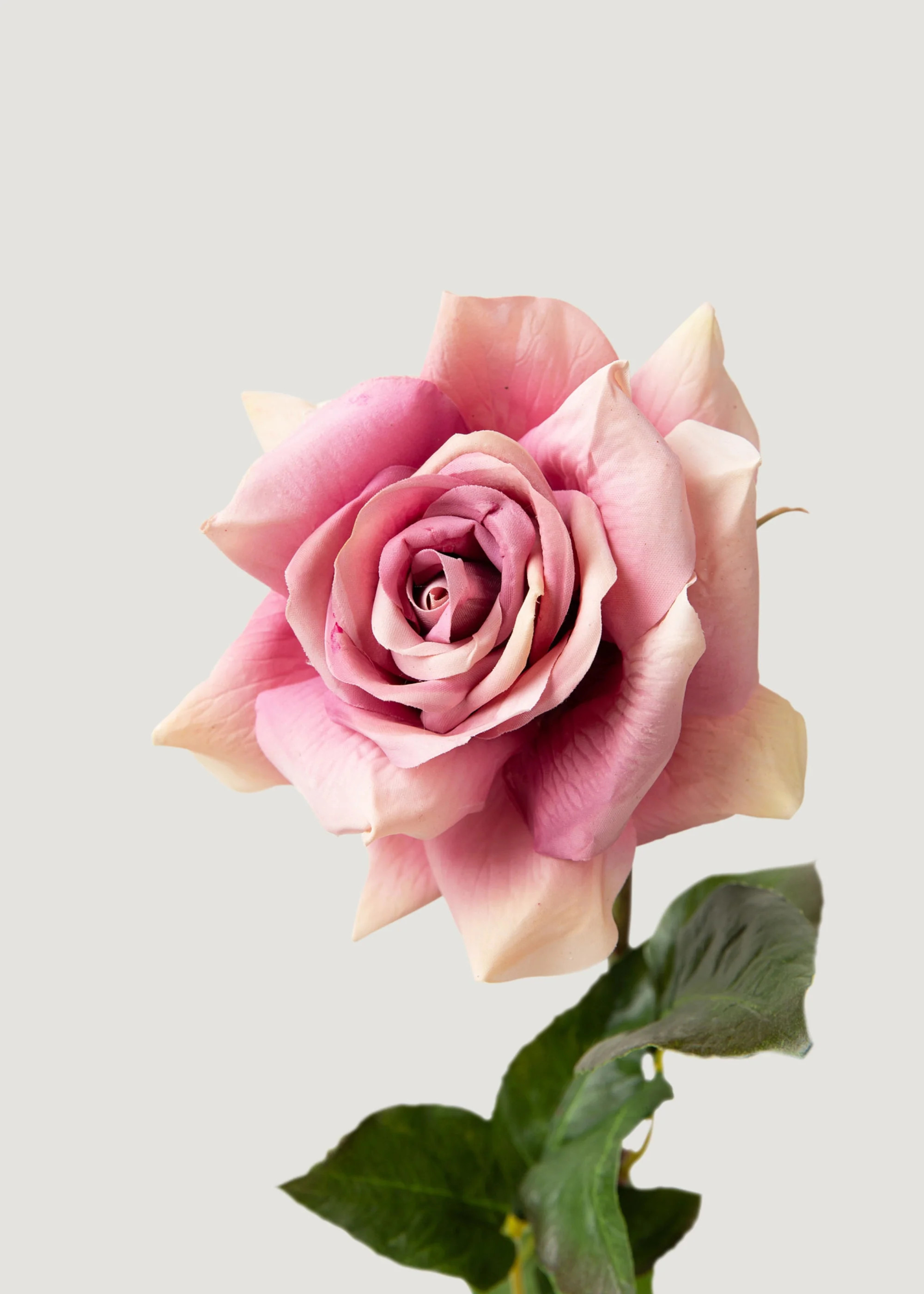 Lavender Artificial Duchess Rose | Faux Real Touch Flowers | Afloral | Afloral