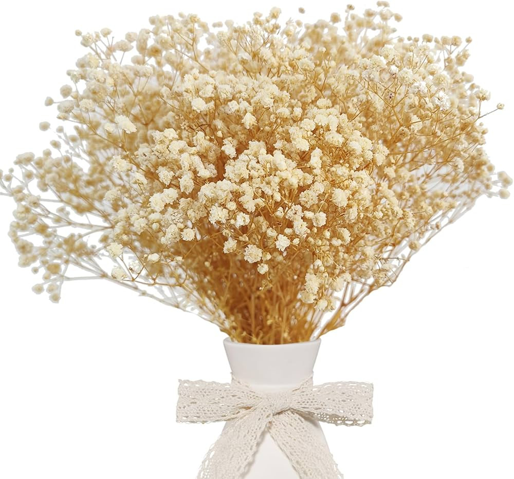 Dried Babys Breath Bulk Natural Dried Gypsophila Flowers White Babys Breath Stems for Home Decor,... | Amazon (US)