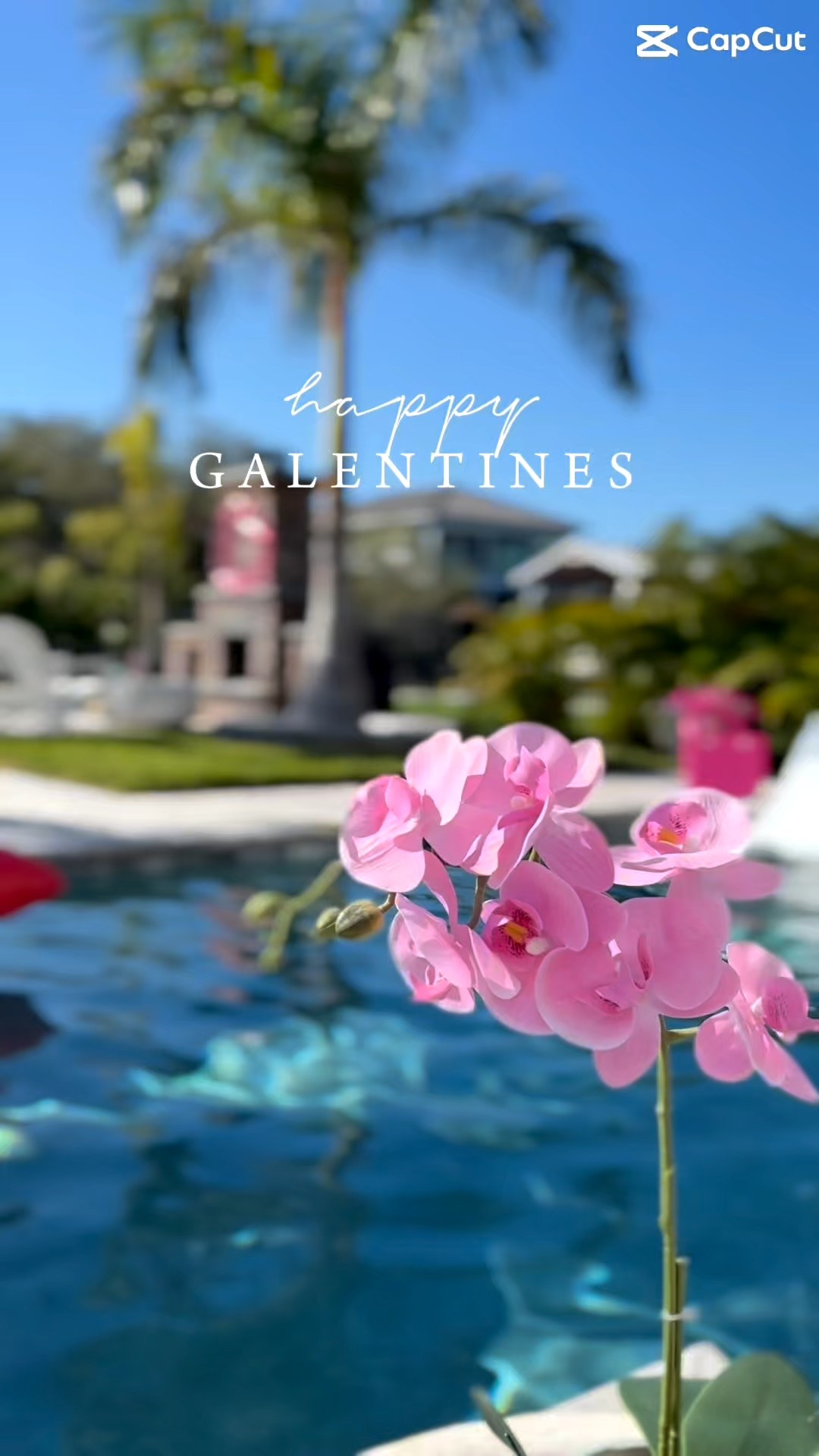 Galentines Day just got a whole lot cuter with these inflatables from @funboy! 💖💕💓 

Love 

#LTKHome #LTKValentine #LTKvlog