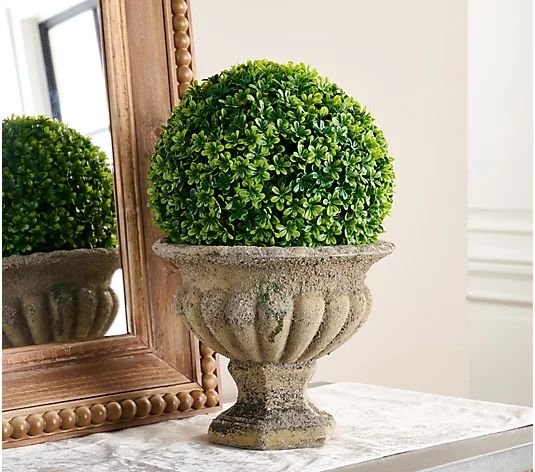 Cozy Cottage by Liz Marie 11" Faux Boxwood Sphere | QVC