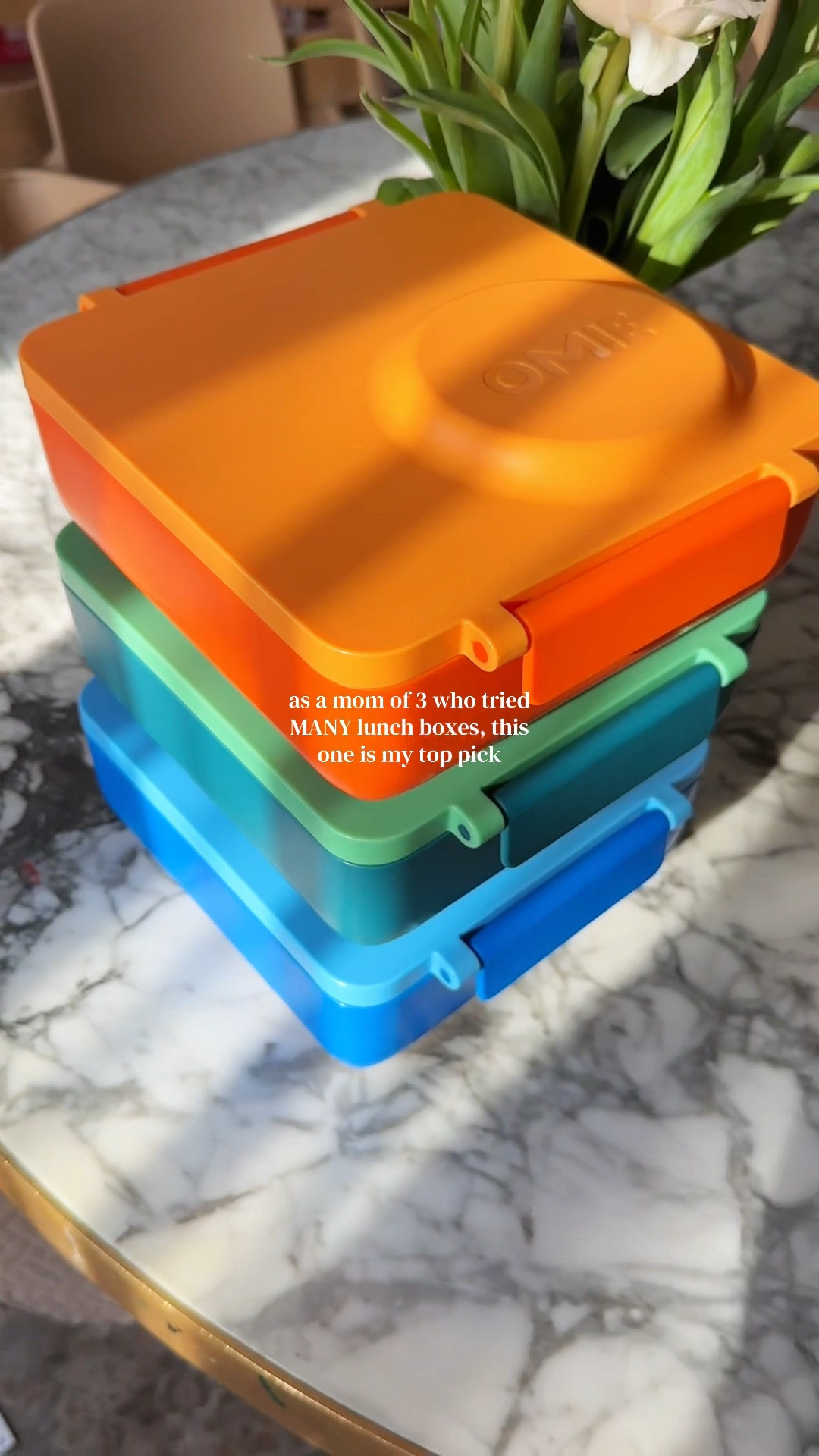 My favorite part? The insulated thermos that actually keeps their food hot 🙌
Or you can take it out and use it on its own—which makes packing lunch so much easier.

If you’re packing lunches every single day like me… this just makes life simpler 🤍

Hands down one of my go-to lunch boxes for my boys.

#momlifehacks #kidslunchideas #backtoschoolmusthaves #momroutine #lunchpackingmadeeasy

#LTKSeasonal #LTKKids #LTKHome